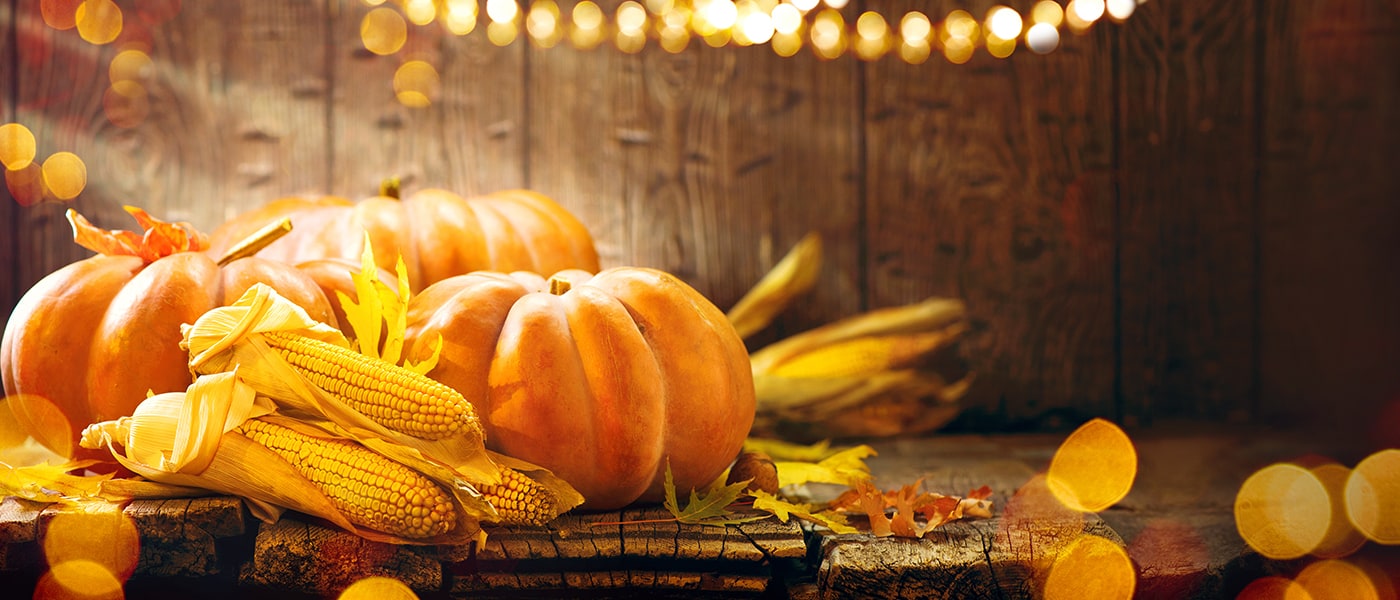 Thanksgiving Marketing Tips for Businesses