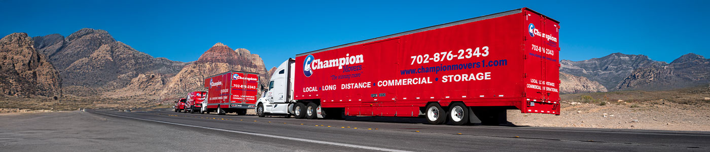 Business Type: Moving and Logistics Services